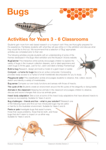 Bugs Activities for Years 3 - 6 Classrooms