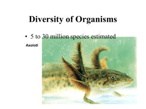 Diversity of Organisms