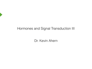 Hormones and Signal Transduction III