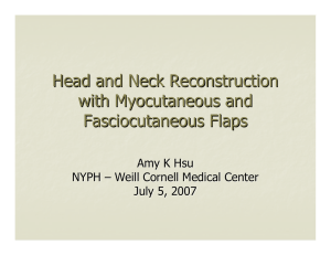 Flaps Powerpoint (July 2007)