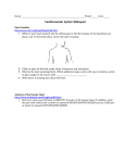 Cardiovascular System Webquest