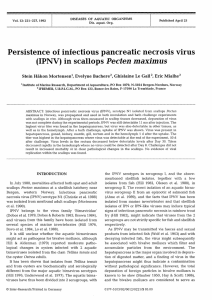 Persistence of infectious pancreatic necrosis virus (IPNV)