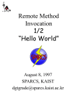 Remote Method Invocation - SPARCS