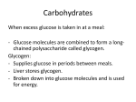 Carbohydrates - YISS-Anatomy2010-11