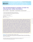 The neurophysiological correlates of motor tics following focal
