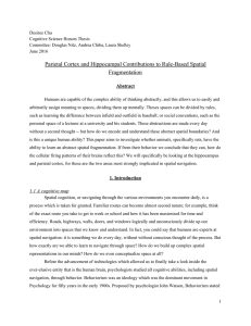 Parietal Cortex and Hippocampal Contributions to RuleBased