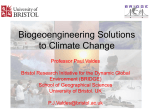 Biogeoengineering Solutions to Climate Change
