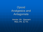 Opioid Analgesics and Antagonists