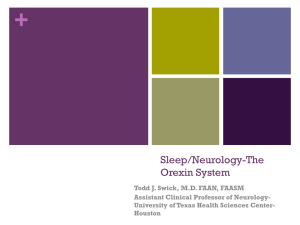Sleep/Neurology-The Orexin System