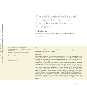 General Cortical and Special Prefrontal Connections: Principles