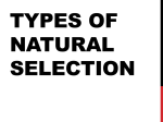 Types of Natural Selection