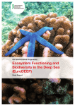 Ecosystem Functioning and Biodiversity in the Deep Sea (EuroDEEP)