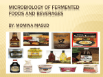 Microbiology Of Fermented Foods and Beverages by momina