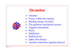 The nucleus