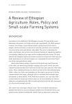 Roles, Policy and Small-scale Farming Systems