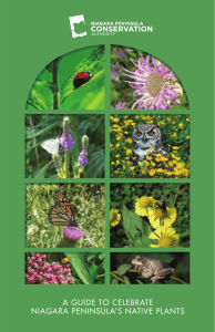 NPCA Plant Guide - Niagara Peninsula Conservation Authority