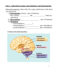 Unit 2 - Subcortical systems, neurochemistry and brain function