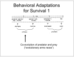 Behavioral Adaptations for Survival 1