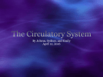 The Circulatory System - missmayerhealthscience20