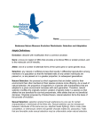 Bodensee Nature Museum Evolution Worksheets: Selection and