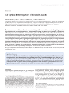 All-Optical Interrogation of Neural Circuits