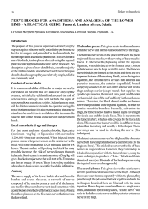 Nerve Blocks for anaesthesia and analgesia of hte Lower Limb