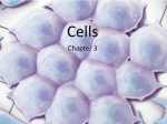 Week 1, Cells, Jan 17, student version