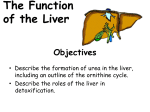 Lesson_3_liver_function
