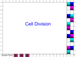 Cell Division - Manasquan Public Schools