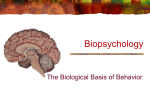 Biopsychology - Le Moyne College