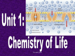 Unit 2 The Chemistry of Life