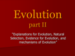 Evolution Notes Prt II