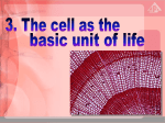 3.1 Discovery of cells