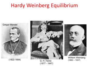 Hardy Weinberg Equilibrium