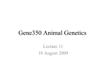11. Gene350 Animal Genetics 18 August 2009