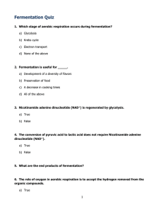 Fermentation Quiz