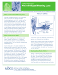 Noise-Induced Hearing Loss