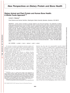 New Perspectives on Dietary Protein and Bone Health