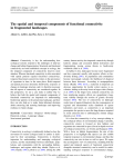 The spatial and temporal components of functional connectivity in