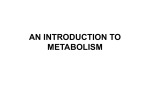 AN INTRODUCTION TO METABOLISM Metabolism, Energy, and