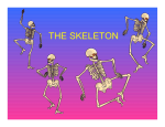 Axial skeleton and the Skull Lecture # 1 ppt