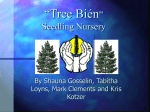 “Tree Bien” Seedling Nursery