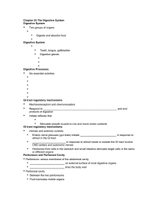 Chapter 23 The Digestive System