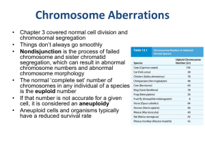 Chromosome Aberrations