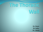 Dr Nimr Resp Thoracic Wall (1)