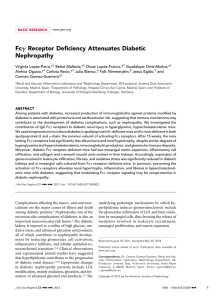 Fcg Receptor Deficiency Attenuates Diabetic Nephropathy