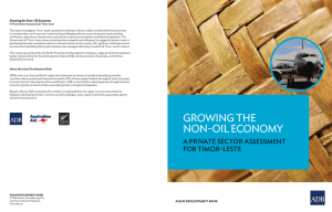 Growing the non-oil economy: A private sector assessment for Timor