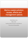 Marine coastal pollution: causes, effects and