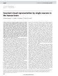 Invariant visual representation by single