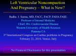 Left Ventricular Noncompaction And Pregnancy – What is New?
